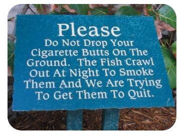 Cigarette butts